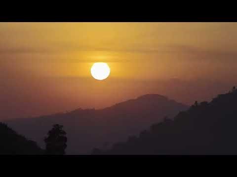 Beautiful Sunset Sound Bird Sound Nature | Relax Everynight
