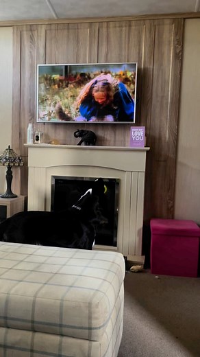 Barney loves it when, Peter sees Shadow #homewardbound #react #reaction | Stephen Kelleher