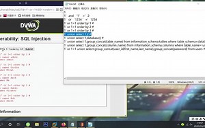 Dvwa SQL Injection SQL注入中低级通关方法