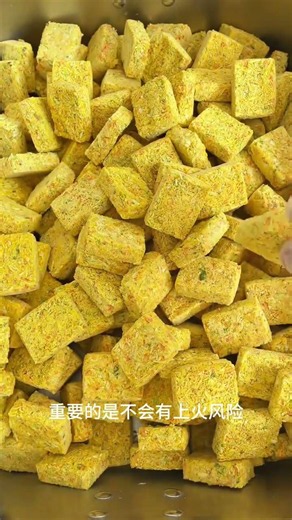 Summer Breakout: Best Dwarf Hamster Treats & Feeding Tips