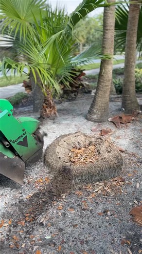 #yardwork #lawnmaintenance | Nublogger