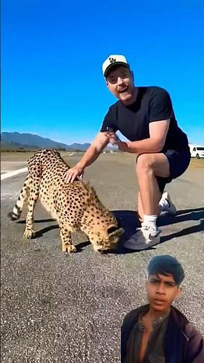 #automobile #cheetah #gaming #gopro #leopard #mrbeast #wyattfamily #funny #funny #funny #gopro