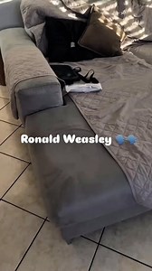 Oh my God! #harrypotter #funny #howler #danielradcliffe #harrypottermovies | Harry Potter Fans