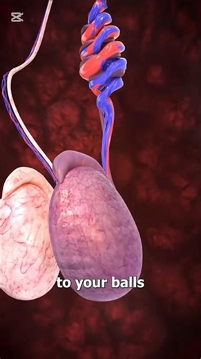 Zack D Films Meme💀 Remastered | #toonlink #bfdi #tpot #godzilla #zackdfilm #howtobasic #memes #meme