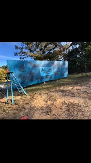 What a Day! About 10 hours straight of painting to get this one FINISHED! we explored all the seasons today…by 4 pm I had been chilly in my hoodie, sweated in my tank and shorts and then my hands were frozen by 5pm. Lol. So glad I was able to do this fun design for my friends at Live Oaks Veterinary Clinic! Hope everyone loves it! | Brooke Foy