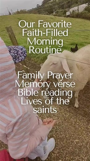 Little Learning Minds on TikTok