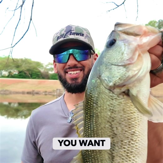 Smart anglers use smart tools. Track weather, perfect your timing, and make every trip unforgettable with our app! | Windy.app