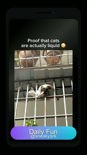 The Shocking Proof That Felines Bend Like Water