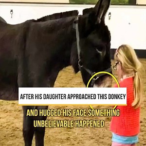 After His Daughter Approached This Donkey And Hugged His Face Something Unbelievable Happened | Trending Videos In The World