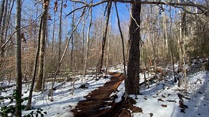 Surveying for any tree damage on Paris Mountain, SC in support of a recent theory on mountain wave induced damage downstream near Furman University. Suspect no tree damage on the mountain itself. Beautiful blue bird skies, melting snows, lots of MUD. | Reed Timmer Extreme Meteorologist