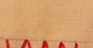 Le point de plume en broderie en 3 étapes