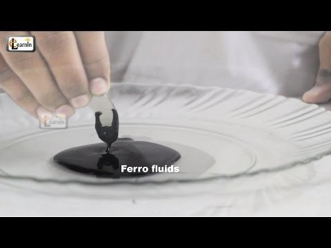 Making Magnetic FerroFluid | How To Make Ferrofluid at home | Science Experiment for kids | elearnin