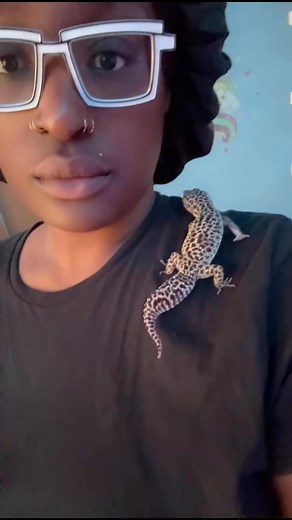 #lizard #pets | Brokeasxfemale