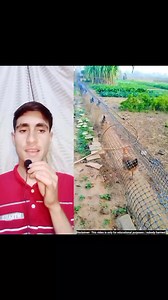 111K views · 1.7K reactions | Asmat Khan on Reels | Facebook