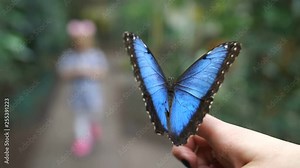 In the foreground sits a very beautiful blue butterfly. In the blur in the background is read the silhouette of a little girl. 4K Slow Mo