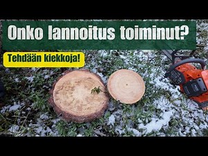 Onko kasvatuslannoitus toiminut?🌲