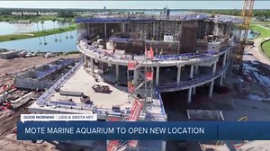 Mote Marine Aquarium preparing for move in 2025