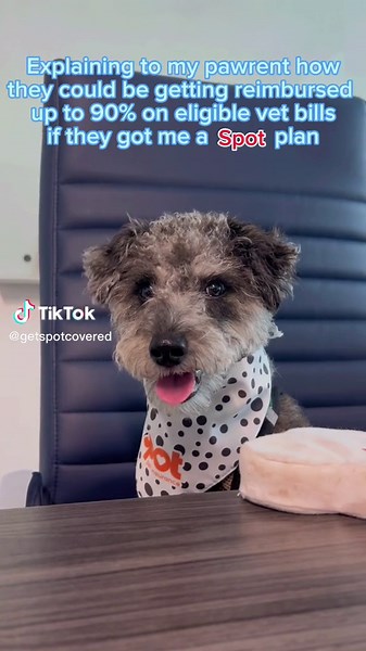 Insurance that’s easy, peasy, puppy squeezy 🐶 #getspotcovered #petinsurance #dogsoftiktok