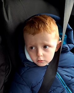 41K views · 280 reactions | But gingers are so cute! 六‍聆 | Lessons Learned In Life | Facebook