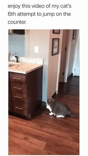 Wait for it... 💀​#memes #funny #relatable #trending #viral #humor #shorts #fyp