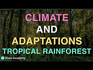 Climate and adaptation in Tropical rainforest | Middle School Science | Khan Academy