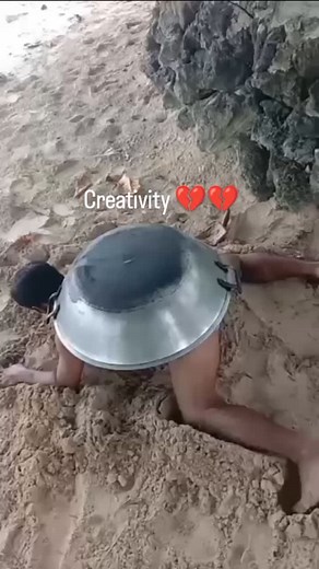 Turtle 🐢 in india . . . #viral #lel0ugh #trending #humor #meme #lmao #memes #funny #funnymemes #comedy #relatable | Wire Npc