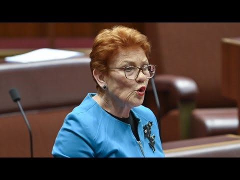 Huge lower house contest set as Pauline Hanson eyes Capricornia seat