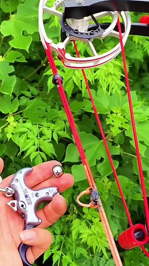 Like this slingshot?#search #cool #slingshot #foryou