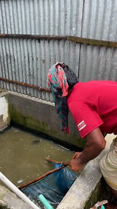 138K views · 400 reactions | Really Best Catfish Fishing | Fm Ayan Fishing | Facebook