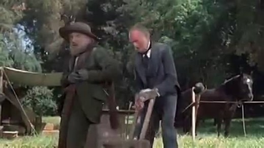 Hot Lead and Cold Feet (1978) Don Knotts