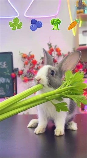 ASMR Emoji Food Eating Challenge | Cute Bunny Eating #shorts #pet #bunny #emoji