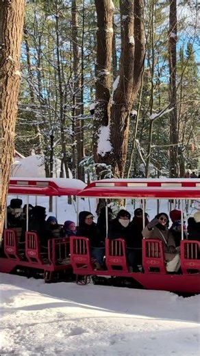 Real Christmas Train Passengers Experiencing Pure Joy #christmastrain #holidays #scenic