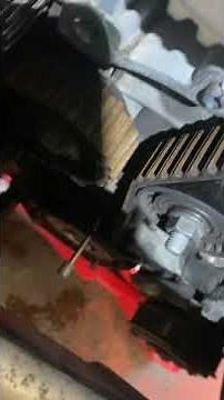 Ford Fiesta 1.6 tdci timing belt replacement