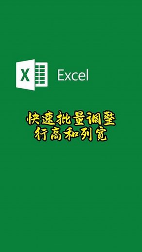 怎么快速批量调整行高和列宽，只要双击一下，就能全自动调整好#excel技巧 #office办公技巧 #excel #wps #上热门@抖音创作小助手 @DOU 小助手