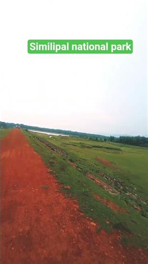 similipal national park