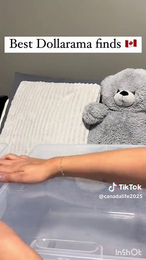 Dollarama Storage Box Finds You Need to See!