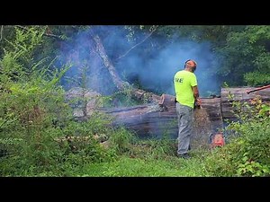 Neotec NH8120 in action. the Husqvarna 3120 clone.