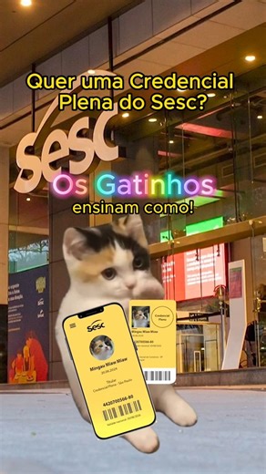 Aprenda como conseguir a Credencial Plena do Sesc… com gatinhos! 🐱🐾 A Credencial Sesc é gratuita e dá acesso a um universo de atividades em todo o Brasil! Se você trabalha no setor do comércio de bens, serviços ou turismo ou é dependente de alguém que trabalha nesse setor, pode ter direito à sua credencial! Saiba mais em sesc.com.br/credencial-sesc 🎥🐱: @sescsp | Sesc