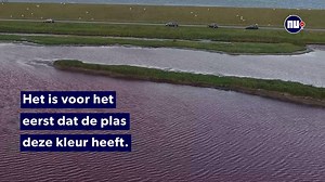 124K views · 1.4K reactions | Op Texel kleurde een waterplas ineens knalroze. Bekijk unieke dronebeelden van dit bijzondere natuurverschijnsel. | NU.nl | Facebook