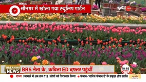 35K views · 819 reactions | Over 16 lakh tulips of 68 different varieties, Asia’s largest tulip garden open for Public in Srinagar #Srinagar #tulipgarden for more videos: https://bit.ly/2skyqg0 | Zee News English | Facebook