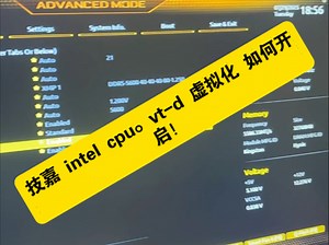 技嘉 intel cpu。vt-d 虚拟化 如何开启！