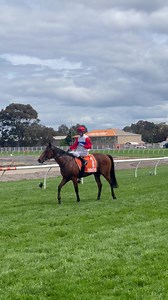 2K views · 44 reactions | Early running double for trainer Forsman Racing! Mr Maestro now eligible for the $1 million bonus if the colt wins the $2 million Group 1 Penfolds Victoria Derby at Flemington Racecourse  | Racing Victoria | Facebook