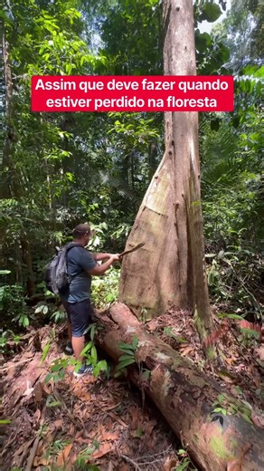Amazônia