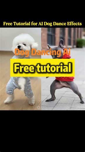 How to Make the Same Dog Dancing Video as in the Clip How to Generate This Dog Dancing Video How to do Dog Dancing tutorial how to make ai Dog Dancing effect filter photo how to get ai Dog Dancing sway filter effect free how to edit ai Dog Dancing effect filter photo fast & easy how to sync ai Dog Dancing sway filter with sound how to adjust ai Dog Dancing sway filter intensity how to share ai Dog Dancing effect filter how to add music to ai Dog Dancing video how to animate Dog photo to dance ho