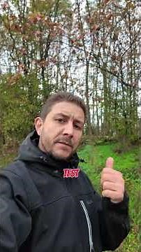 Rémi vous montre le Broyeur hydraulique T9 DFD de chez @femacsrl en action sur une minipelle 5 ton