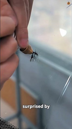 How Pros Perfectly Repair a Cracked Windshield! 🤯