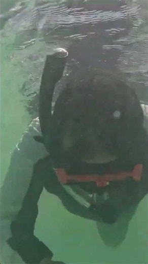 Cancún Como Nunca lo Habías Visto