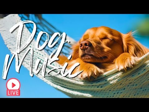 24/7 Relaxing Dog Music | Calming Music for Dogs to Sleep, Relax & Reduce Anxiety | Pet Music Live