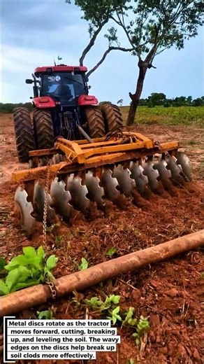 TRACTOR + DISC HARROW! The Secret to Fertile Soil for Modern Agriculture