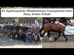 XI Ogólnopolski Młodzieżowy Czempionat Koni Rasy Arden Polski -2025